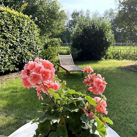 Gastenverblijf In Het Groen Apartamento Overloon
