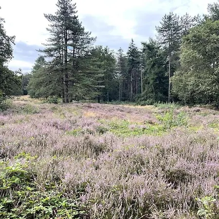 公寓 Gastenverblijf In Het Groen Overloon
